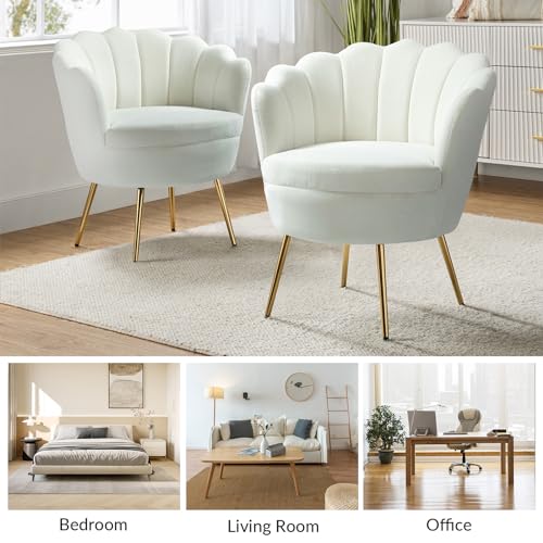 Image of HULALA HOME Modern Velvet Accent Chairs Set of 2 with Shell Shaped Back, Cute Living Room Bedroom Armchairs Sofa Chairs with Gold Legs, Comfy Upholstered Vanity Chairs for Makeup Room, Ivory