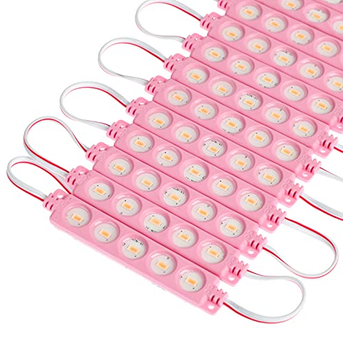 Pink DC12V LED Module 1.2 W Waterproof Decorative Back Light for Letter Sign Advertising Signs with Tape Adhesive Backside (200PCS Pack) by Q QINGCHEN - Used condition - US$44.30