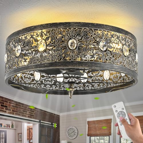HuixuTe 20" Black Caged Ceiling Fan with Lights Remote Control,