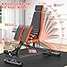 XDDIAS Roman Chair, Adjustable Weight Bench Back Extension Machine for Home Gym, 1000LBS All-in-One Sit Up Bench with Dumbbell Rack, Incline, Decline, and Flat Bench for Hyperextension, Core, Glute