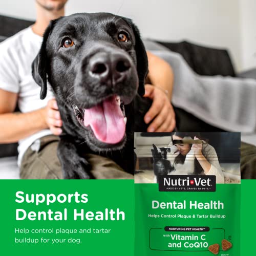 Nutri-Vet Dental Health Soft Chews For Dogs | Helps Control Plaque And Tartar Buildup | Natural Hickory Smoke Flavor | 70 Count #TOP16