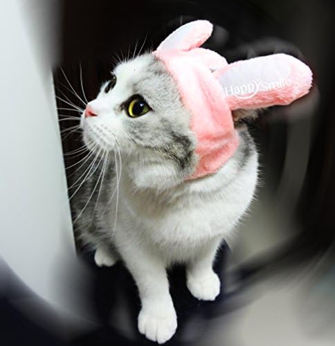 Best Bunny Rabbit Pet Hat Costume for Cats & Small Dogs Funny Pet Cosplay Costume with Stuffed Ears (Bunny Pink, M)
