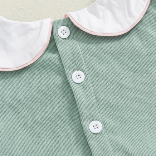 Toddler Baby Girl Fall Outfit Goose Embroidery Long Sleeve Smocked Party Dress Doll Collar Princess Dress Winter Clothes4