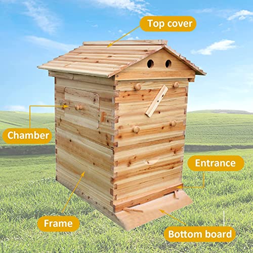 Image of Lwestine Flow Hive Beehive kit Automatic Wooden bee hive House kit Beehive Boxes with 7 Peice Comb Honey Frames for Beginning and Professional Beekeepers
