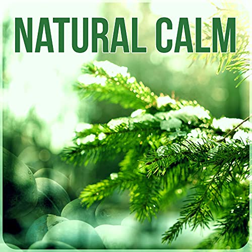 Natural Calm - Walking Music, Training for Walking, Chillout Relaxing Music, Calmness Sounds, Musical Pieces to Relax, Sport & Health, Harmony of Nature Sounds