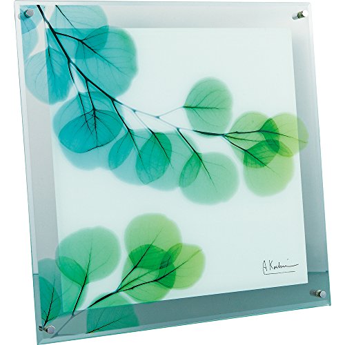 ユーパワー 植物 花 グリーン W36×H36×D2cm