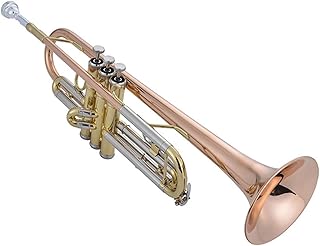 Student Brass Trumpet Trumpet B-flat Wind Instrument Phosphor Bronze Beginner Grade Examination Performance Students