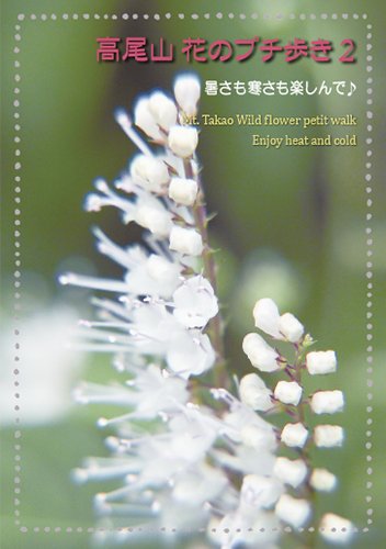 高尾山 花のプチ歩き2