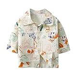 アラビア風トーブ イスラム教徒向けトーブ 長袖 カフタン クルーローブ 民族衣装 十代の男の子用 刺繍入り ローブセット アラブ子供服 ローブ (Khaki, 3-4 Years)