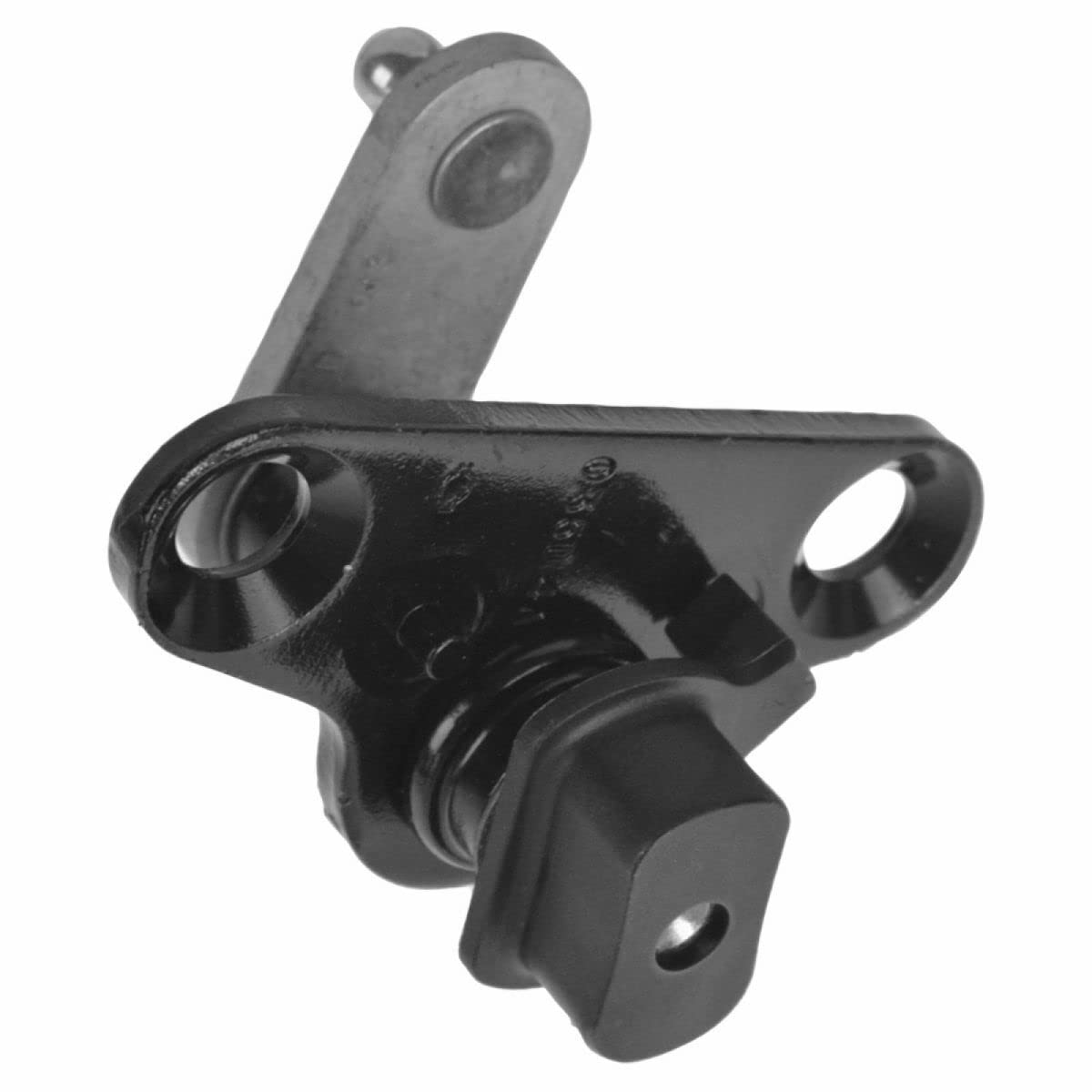 Amazon.com: Tailgate Hinge Roller Outer Right Side For 2005-2019