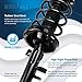 Detroit Axle - Struts Shocks for 2012 2013 Ford Focus Complete 2 Front Struts with Coil Spring 2 Rear Shock Absorbers Replacement Quick Install Ready Strut Assembly