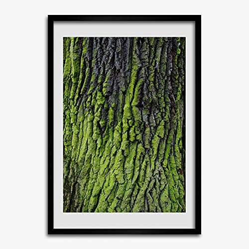 Cadre photo moderne 50x70 cm écorce d'arbre pour salon chaleureux