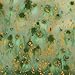Mayco Crystalites Crystal Glaze - S2714 - Herb Garden - 4 Ounce Jar