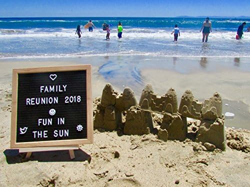 Felt Letter Board - 10” x 10” Black Felt Letter Board with Wooden Frame, 335 White Letters, Numbers, Emojis, Along with Attached Wall Hanger, Wooden Stand, and Cute Lucky Cricket Carrying Bag!