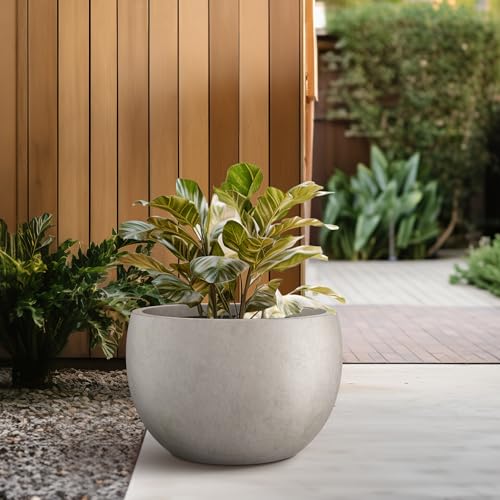 Kante RC0049B-C80021-2 15.7 Inch Dia Round Concrete Planter, Outdoor/Indoor Large Bowl Plant Pots With Drainage Hole And Rubber Plug For Garden Patio Balcony Home thumb #5