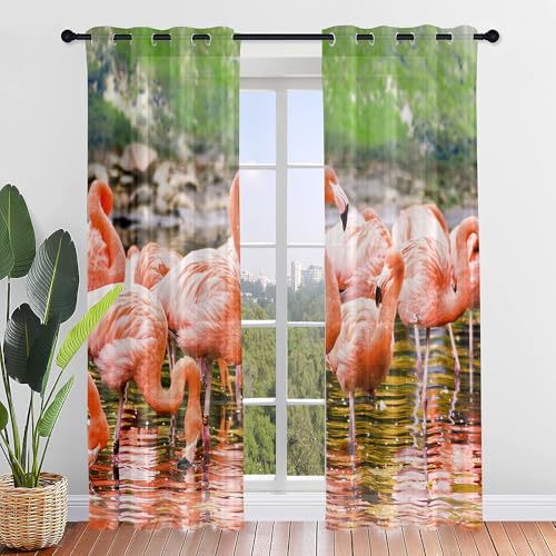 Highdi Cortinas de Ventana Dormitorio Translúcidas Ventana Visillos con Ojales Patrón de Flamenco 2 Paneles Transparente para Sala Habitación Comedor Cocina (W140 x H160 cm,Flamenco Rosado)