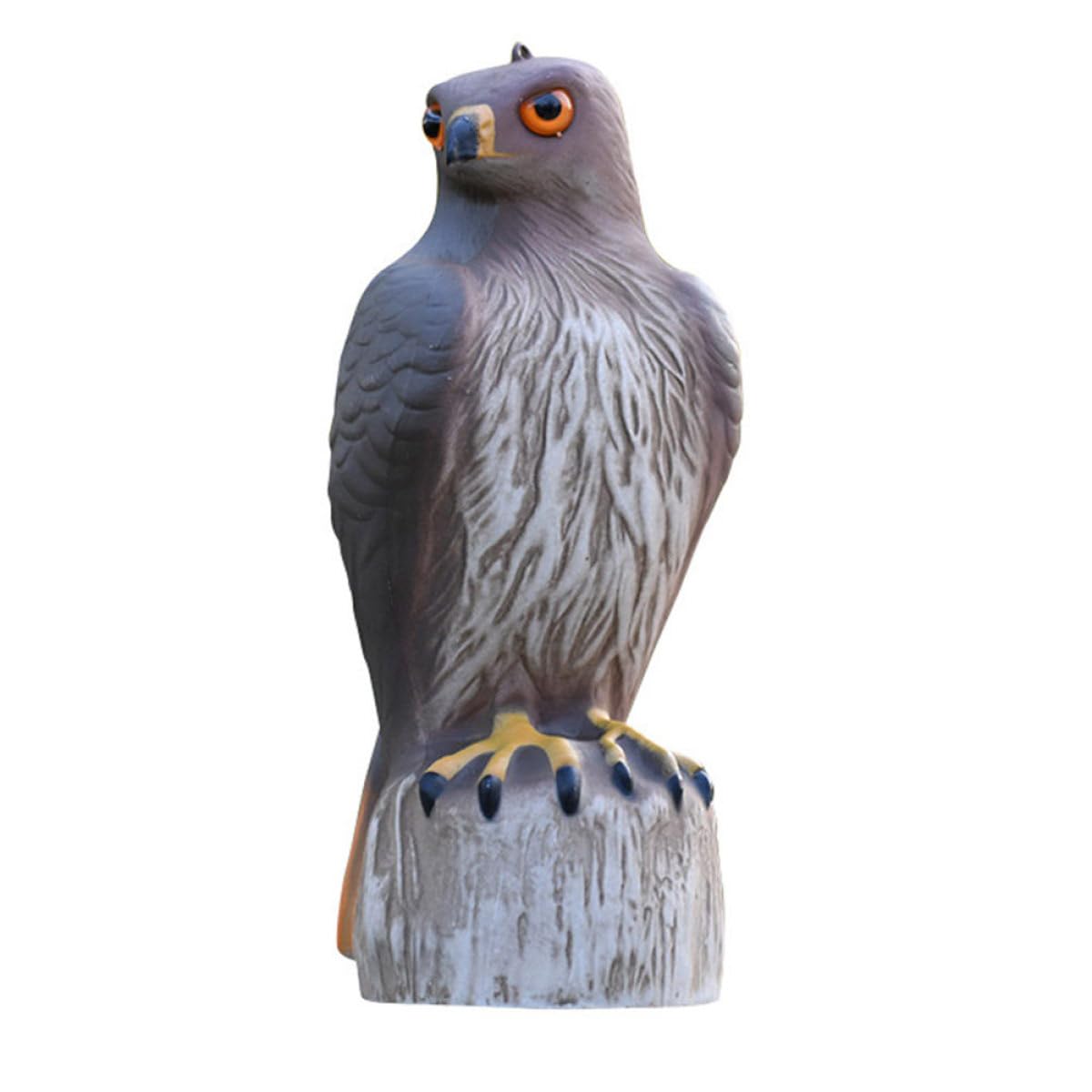 Oiseau effaroucheur anti pigeons pour stopper les dégâts au potager