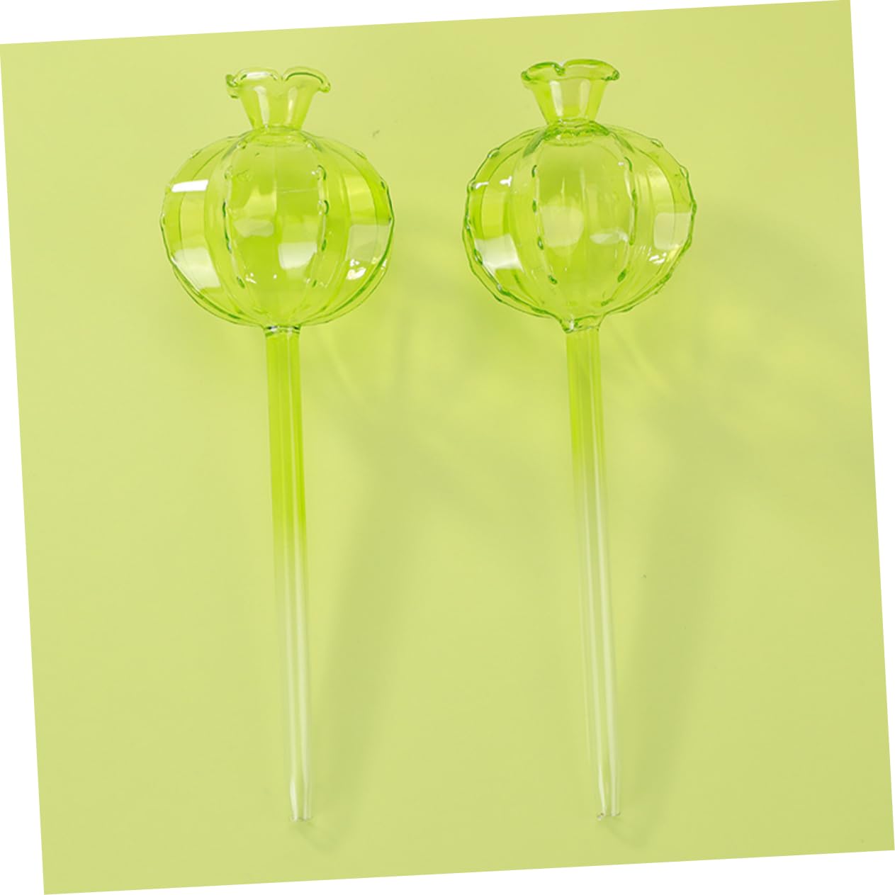 IMIKEYA Globes D’arrosage Automatique Cactus 4 Pièces en Verre Borosilicate