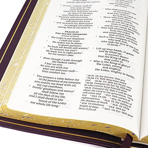 Nrsv, Personal Size Large Print Bible with Apocrypha, Premium Goatskin Leather, Purple, Premier Coll