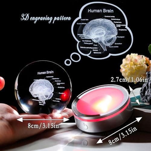 Image of Arikyrist Crystal 3D Human Brain Figurine 3.15 in. Ball Gifts for Him Her | Human Brain Anatomical Mini Model, Colorful Light Base, for Neurologist Doctor Pharmacist, Graduation Gifts, Medical Students