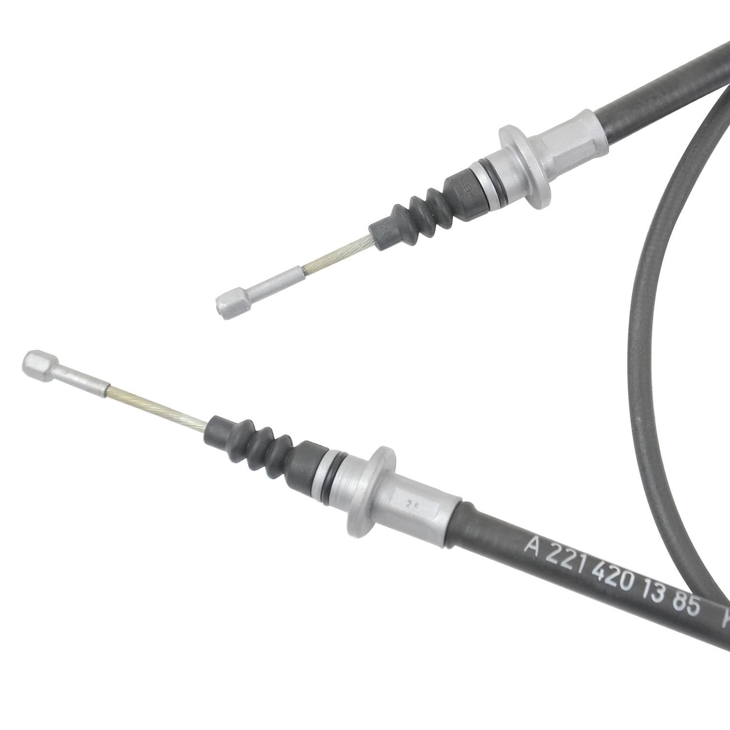 ユーザー投稿写真