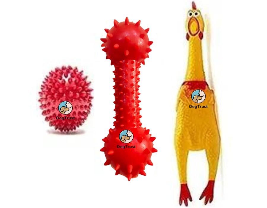 Dog Trust Dog & Puppy I Rubber Chew Toys I Combo- Ball Toy I Silicon Dumbbell I Squeaky Chicken Small I Pack of-3 (B0CFVJZLKH) Amazon Price History, Amazon Price Tracker