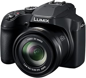 Panasonic Lumix DCFZ80DK Compact Camera + 20-1200mm Zoom Lens, Point and Shoot Digital Camera, 4K Video/Photo Recording, Power Optical Image Stabilizer
