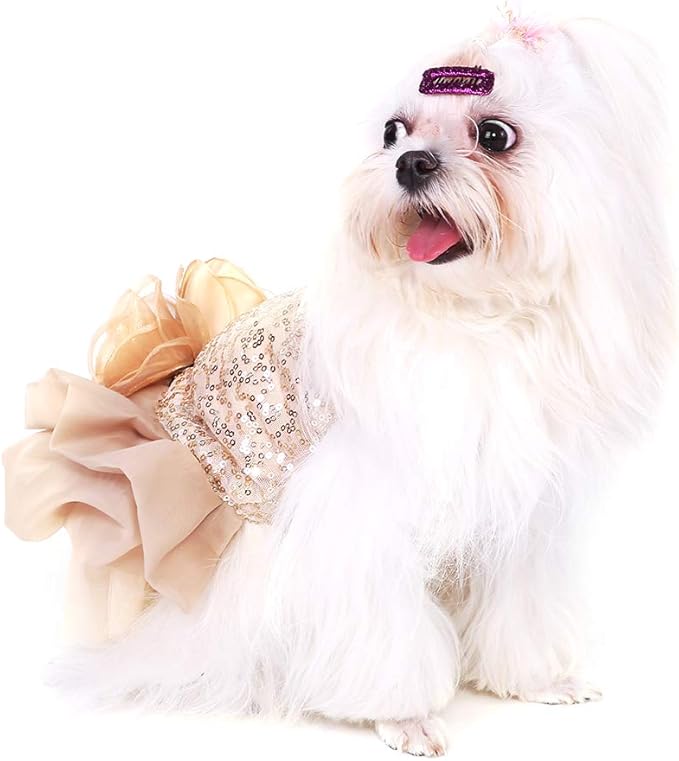 Falda de Princesa para Perro Rosvola, Dorada, XL miniatura 4