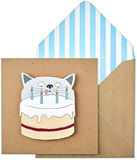 Birthday Naughty Cat Handmade Greeting Card with Blue Stripes Envelope