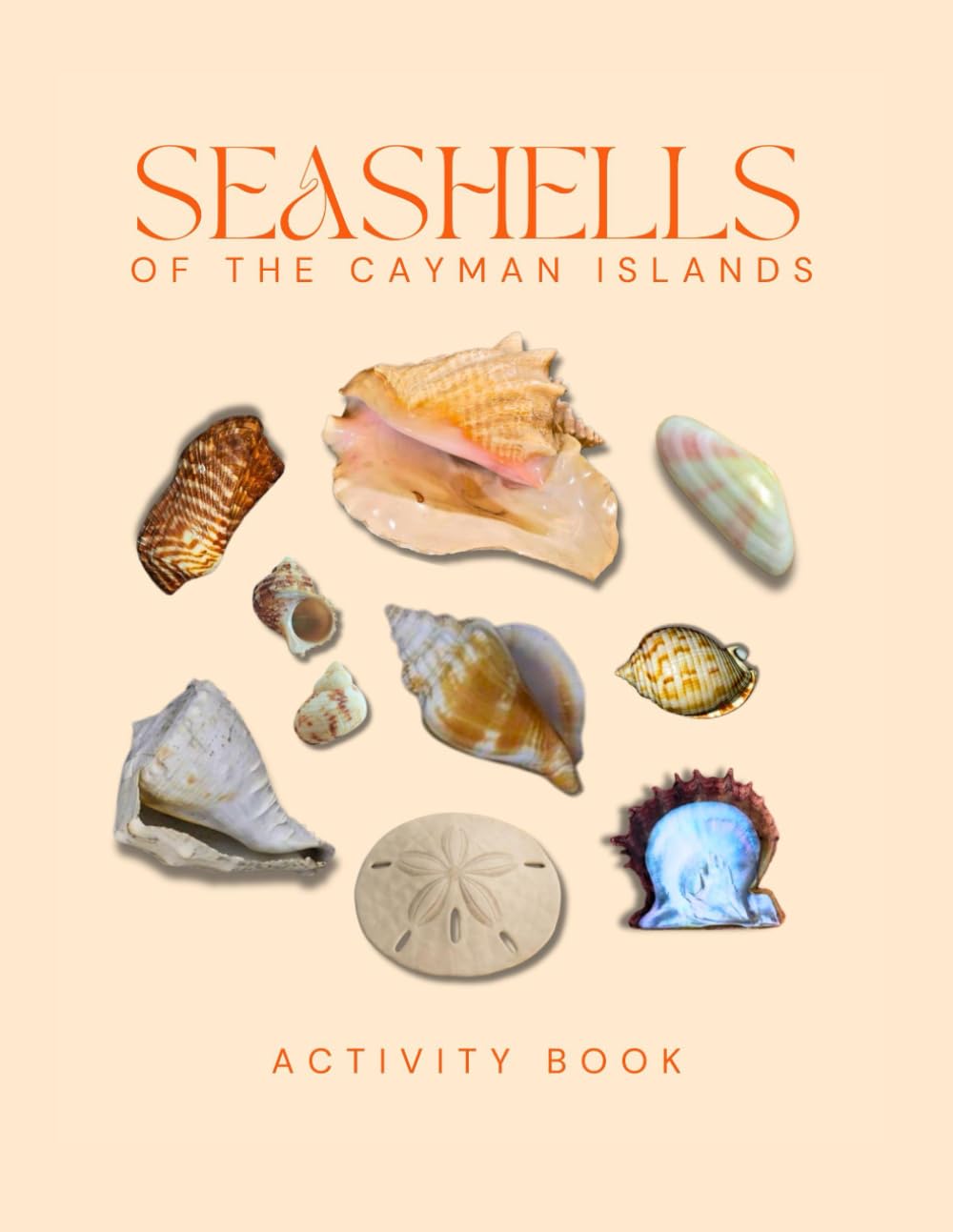 Seashells of the Cayman Islands Activity Book: A Young Beachcomber's Field Guide to Identifying the Seashells of the Cayman Islands