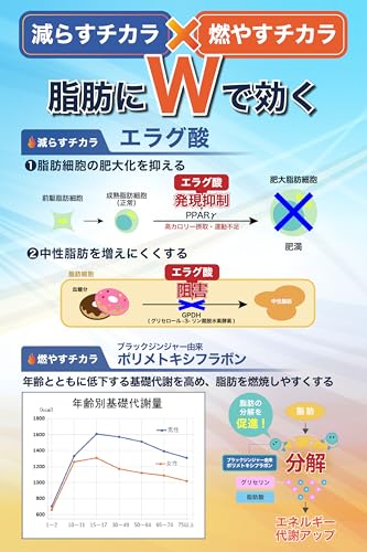 コステックファルマ BURN MODE バーンモード