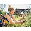 GARDENA 8905, Two step adjustable Bypass Pruners with safety lock, For pruning and cutting flowers or branches, Made In Germany