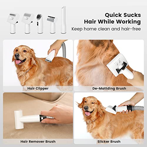 Pet Grooming Vacuum Kit & Dog Hair Vacuum, Dog Vacuum Brush For Shedding Grooming With 2.5L Dust Cup And 5 Grooming Tools, Low Noise Pet Hair Remover For Dog Cat, Home Cleaning #TOP3