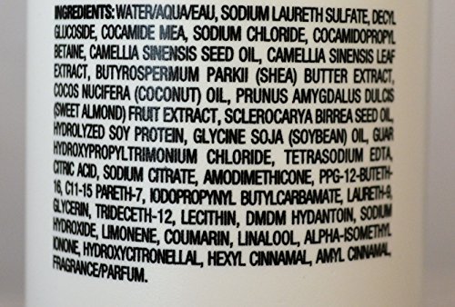 Biotera Anti-Frizz Intense Smoothing Shampoo & Conditioner (15.2 Ounce)