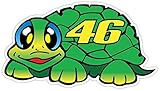 Valentino Rossi 46 Turtle Tartaruga 3