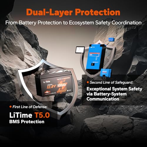 Image of Litime 12V 100Ah LiFePO4 Battery, Compatible with Victron System (4 Packs)