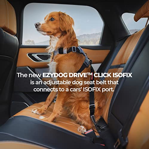 EzyDog Anschnallgurt Hund Auto – Click ISOFIX Hundeanschnaller für den Kofferraum, verstellbar, kompatibel mit Hundegeschirr – Hundegurt Auto aus Nylon für Reisen (60–100 cm, Schwarz)