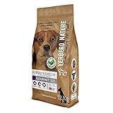 El aceite de salmón aporta ácidos grasos DHA que ayudan a la función cognitiva y desarrolla la capacidad visual; la patata es una fuente valiosa de proteína muy digestible