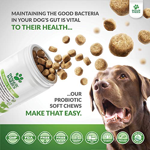 Doggie Dailies Probiotics for Dogs, 225 Soft Chews, Advanced Dog Probiotics with Prebiotics, Promotes Digestive Health, Supports Immune System and Overall Health (Duck) - Thumbnail 7
