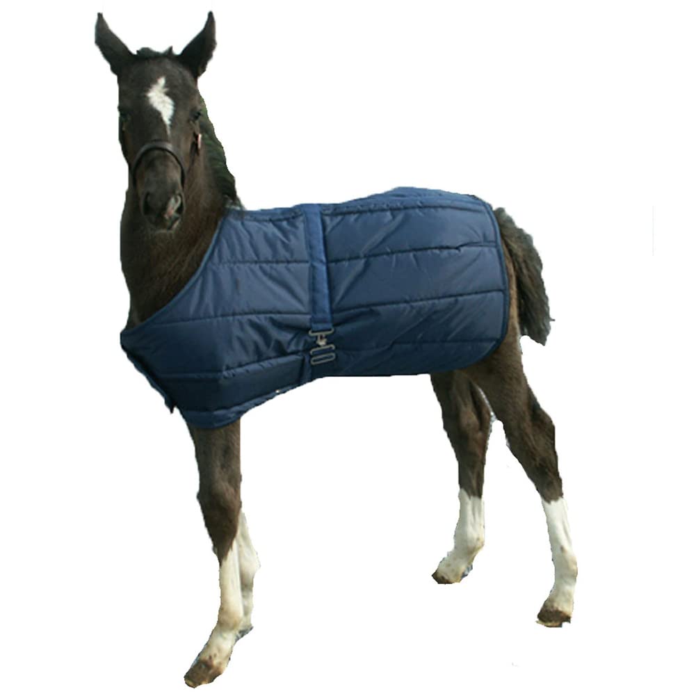 High Spirit Foal Blanket, Navy