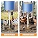 PAUQRWIE Timed Automatic Chicken Feeder 16 Groups of Timer & Quantitative Poultry Feeders Auto Gravity Food Dispenser Kit for Chicken Rooster Dog Duck Cat Bird Chicken Coop