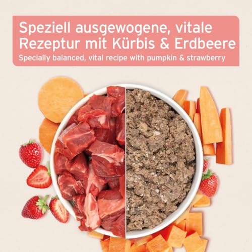 AniForte Hundefutter Nass Junior Rind 6 x 400g – Natürliches Nassfutter für Welpen, Junghunde im Wachstum, hoher Fleischanteil, Premium Welpennassfutter getreidefrei