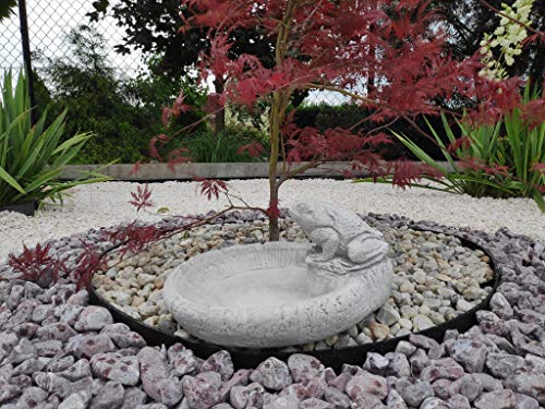 Green Lane Garden Mangiatoia per Uccelli con Rana