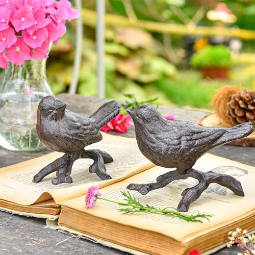 Sungmor-Cast-Iron-Small-Bird-Statues-Set-of-2-Rust-Brown-Bird-with-Branch-Collectible-Figurines-Farmhouse-Home-Garden-Decorative-Bird-Sculpture-Realistic-Indoor-and-Outdoor-Ornaments Sungmor Cast Iron Small Bird Statues Set of 2 Rust Brown Bird with Branch Collectible Figurines Farmhouse Home Garden Decorative Bird Sculpture Realistic Indoor and Outdoor Ornaments