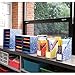Bankers Box Classroom 15 Compartment Literature Organizer, Single (3384301),Blue