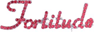 Red Rhinestone Letter Fortitude Sorority Brooch Pin Social Group Inspired Gifts Fashion DST Society Women Jewelry
