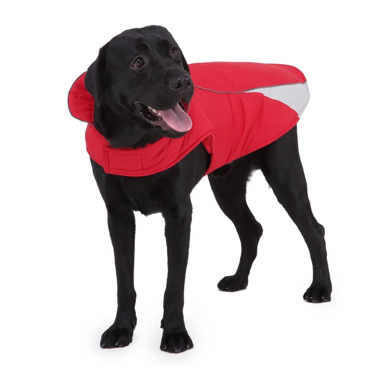 Manteaux de Pluie pour Chien imperméables, imperméable pour Chien, 2 pièces en Tissu pour Chien de fête, Gilet réflecteur pour Animal de Compagnie, vêtements p