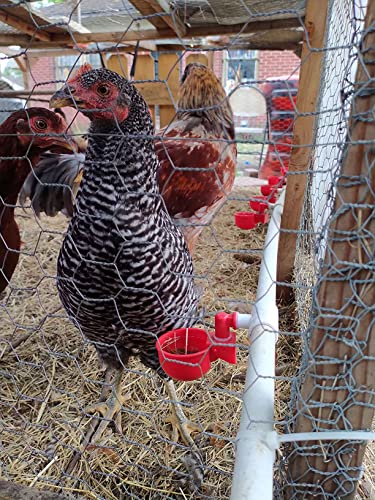 Letsfix Chicken Water Cups For Pvc With Tee, Automatic Waterer Kit For Poultry, Diy Pvc Water Feeder For Chicken/Duck/Quail/Turkey, Chicken Waterer [8 Pack] #TOP4