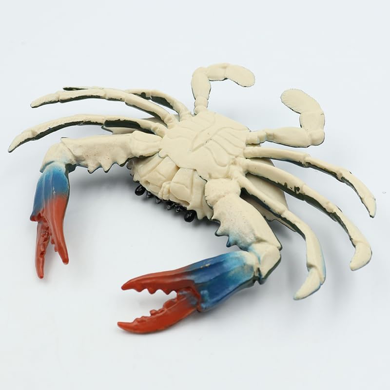 Namvo Crab Figures Sea Life Animals Figurines Realistic Sea Creature Model Role Play, Blue - Image 3