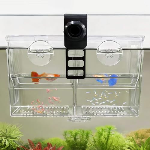 BaoZqua Dual-Chamber Aquarium Breeder